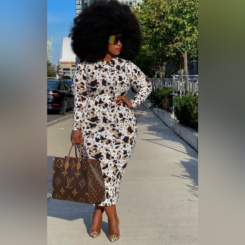 Plus Size Animal Print Dress